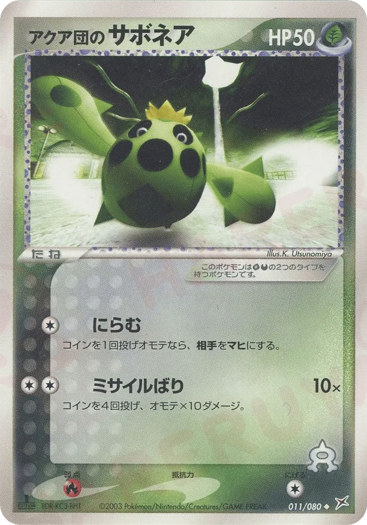Team Aqua's Cacnea