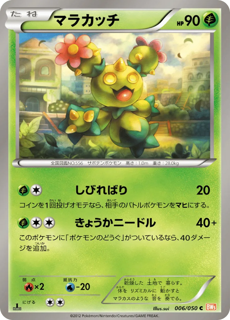 Maractus