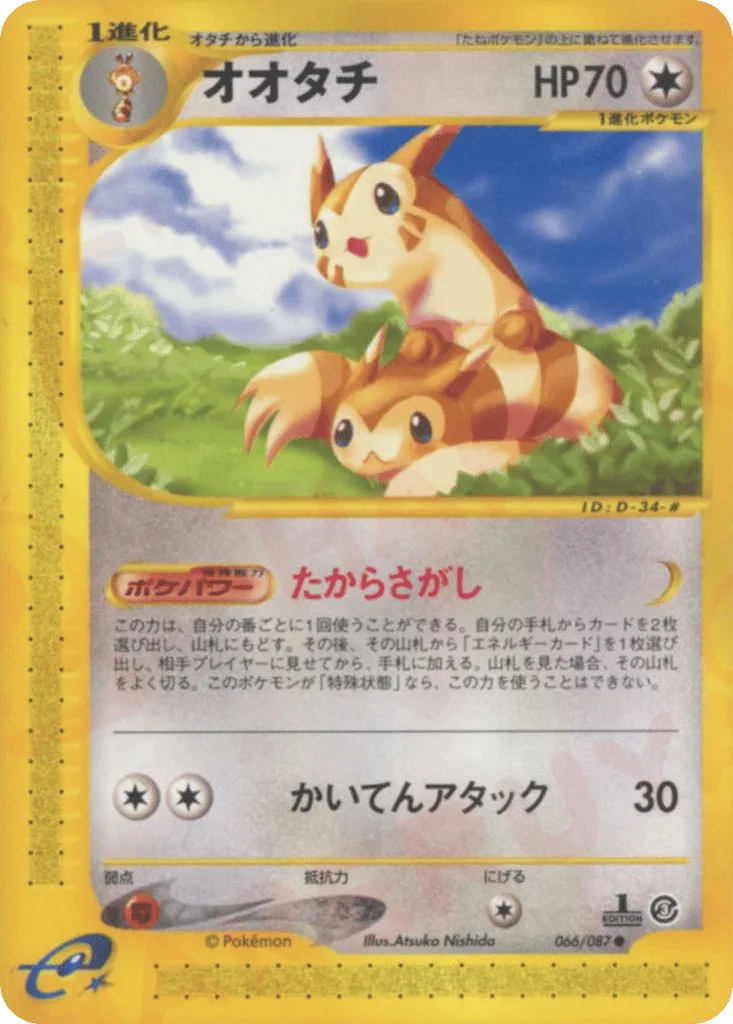 Furret