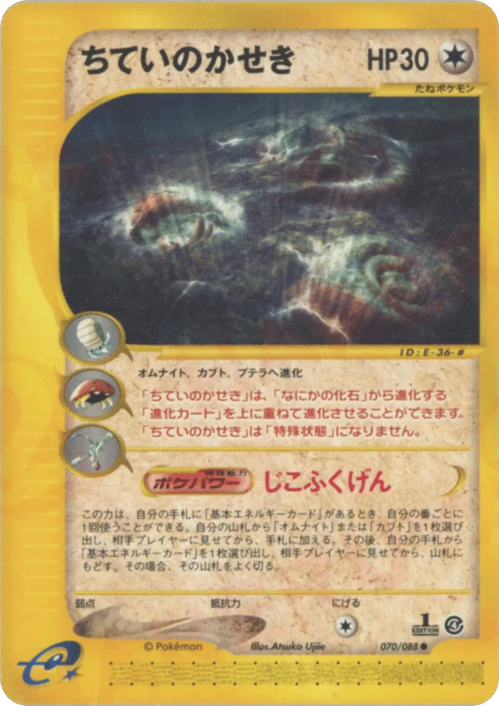 Buried Fossil