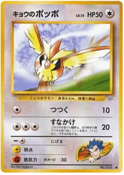 Koga's Pidgey