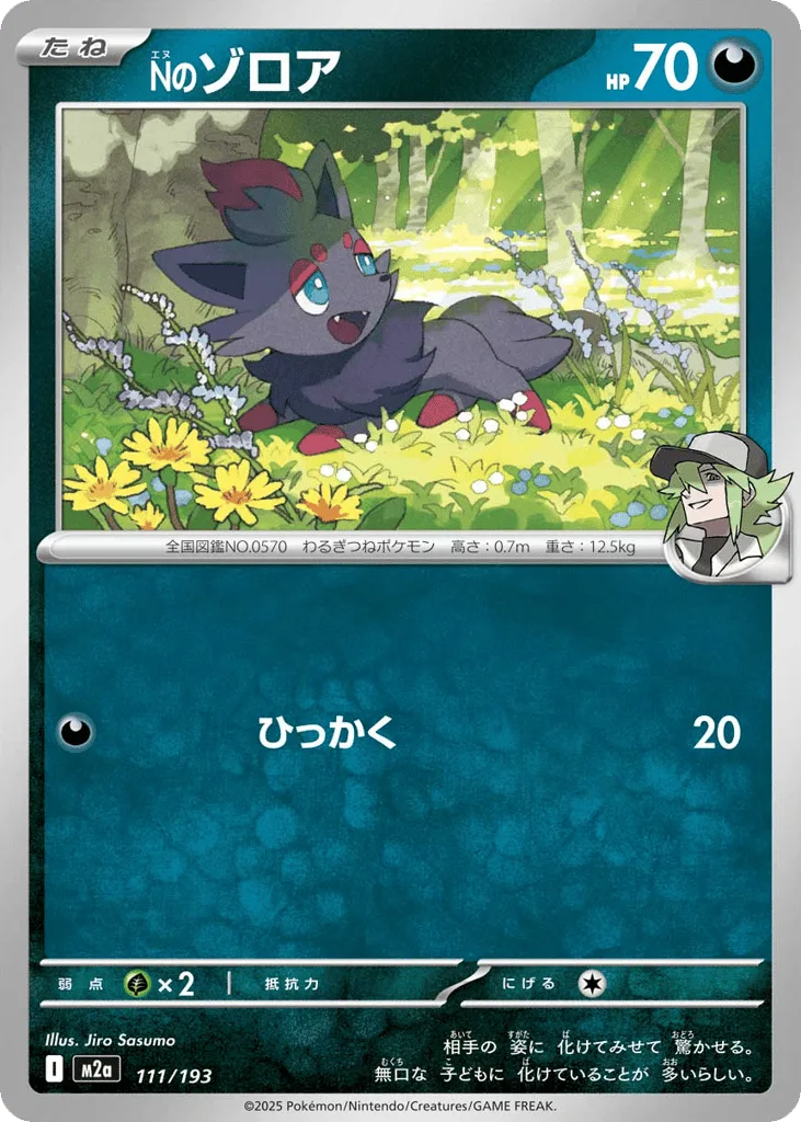 N's Zorua