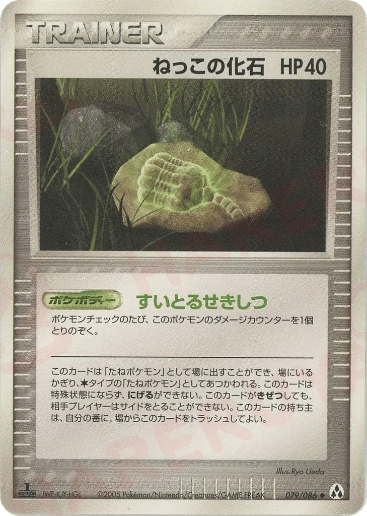 Root Fossil