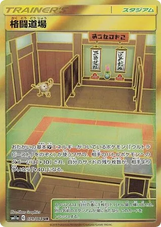Martial Arts Dojo