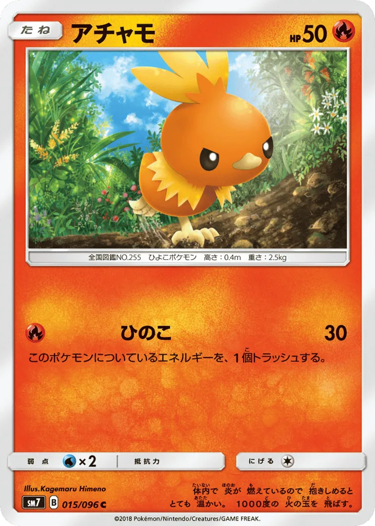 Torchic