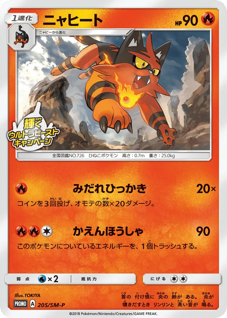 Torracat