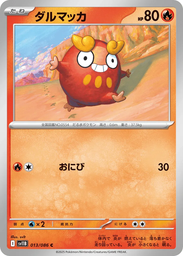 Darumaka