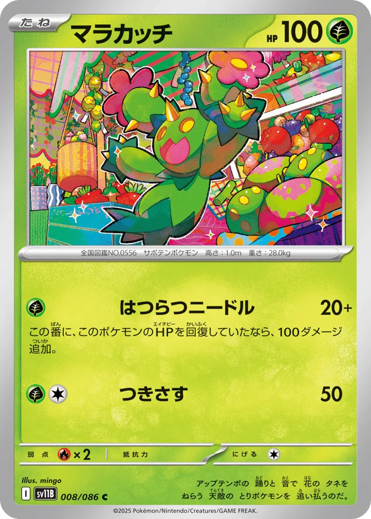 Maractus