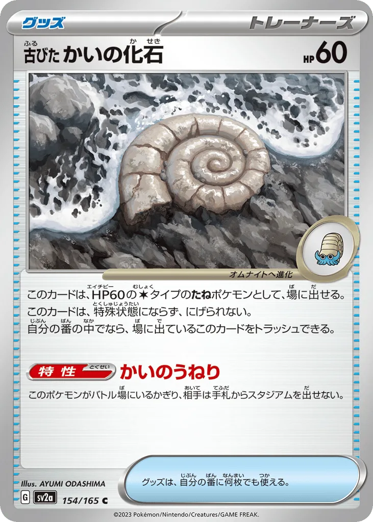 Antique Helix Fossil