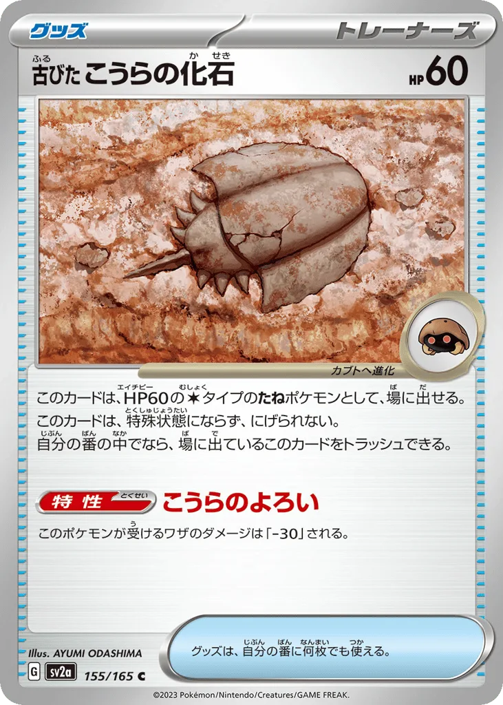 Antique Dome Fossil