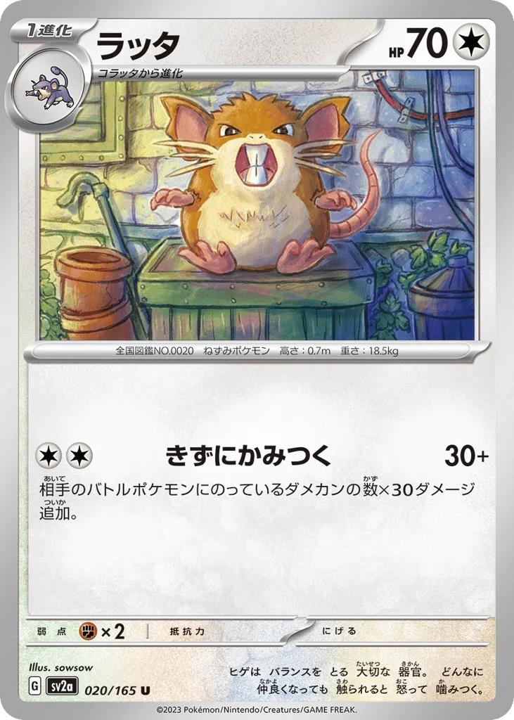 Raticate
