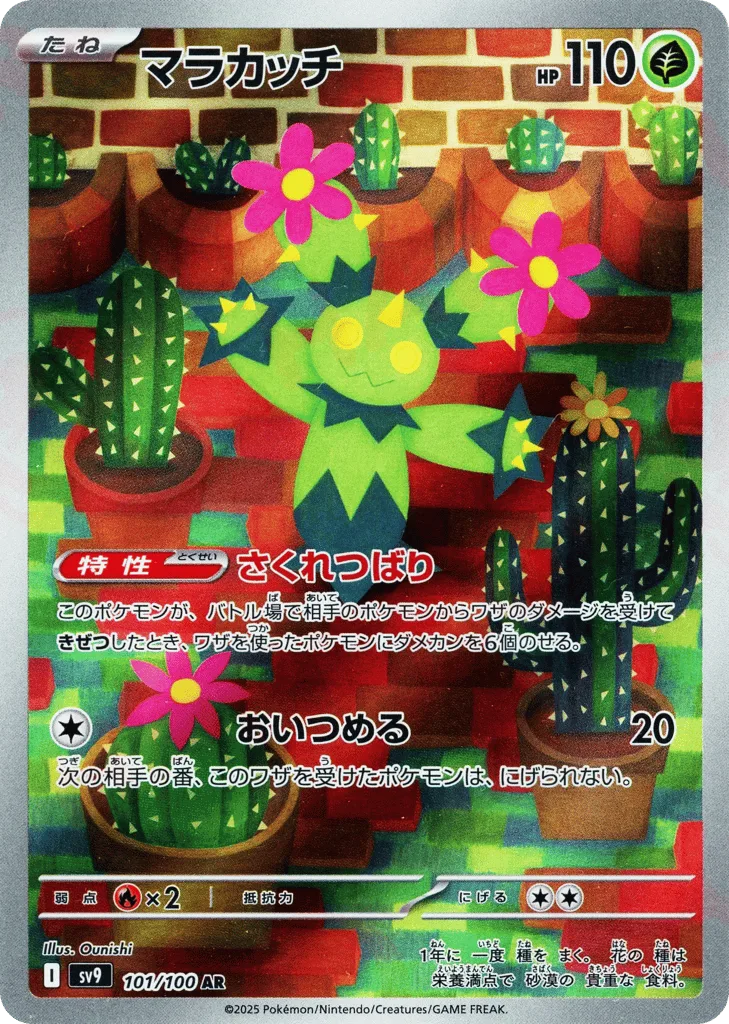 Maractus