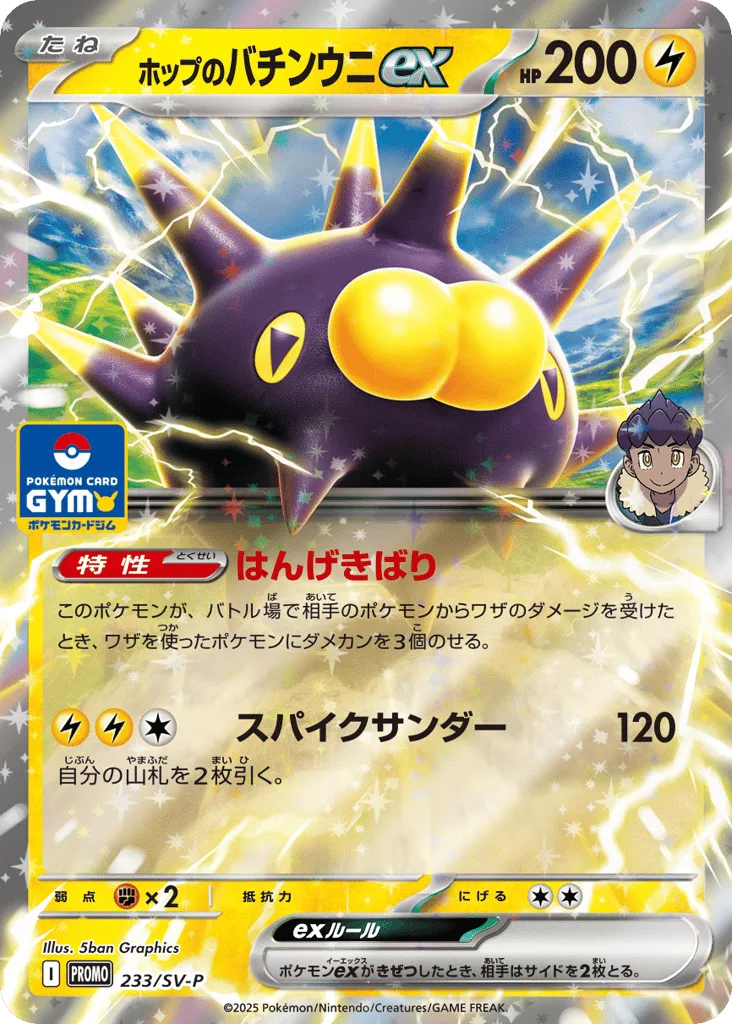 Hop's Pincurchin ex