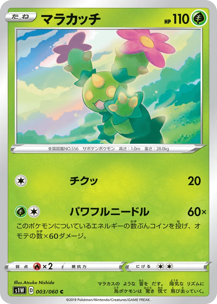 Maractus