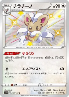 Cinccino