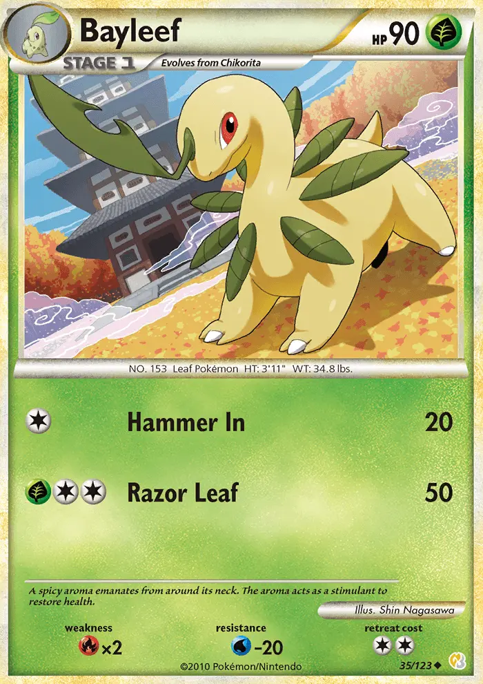 Bayleef