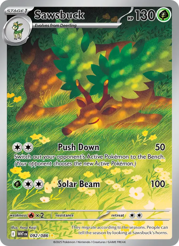 Sawsbuck