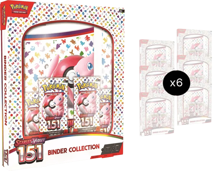 151 Binder Collection Case